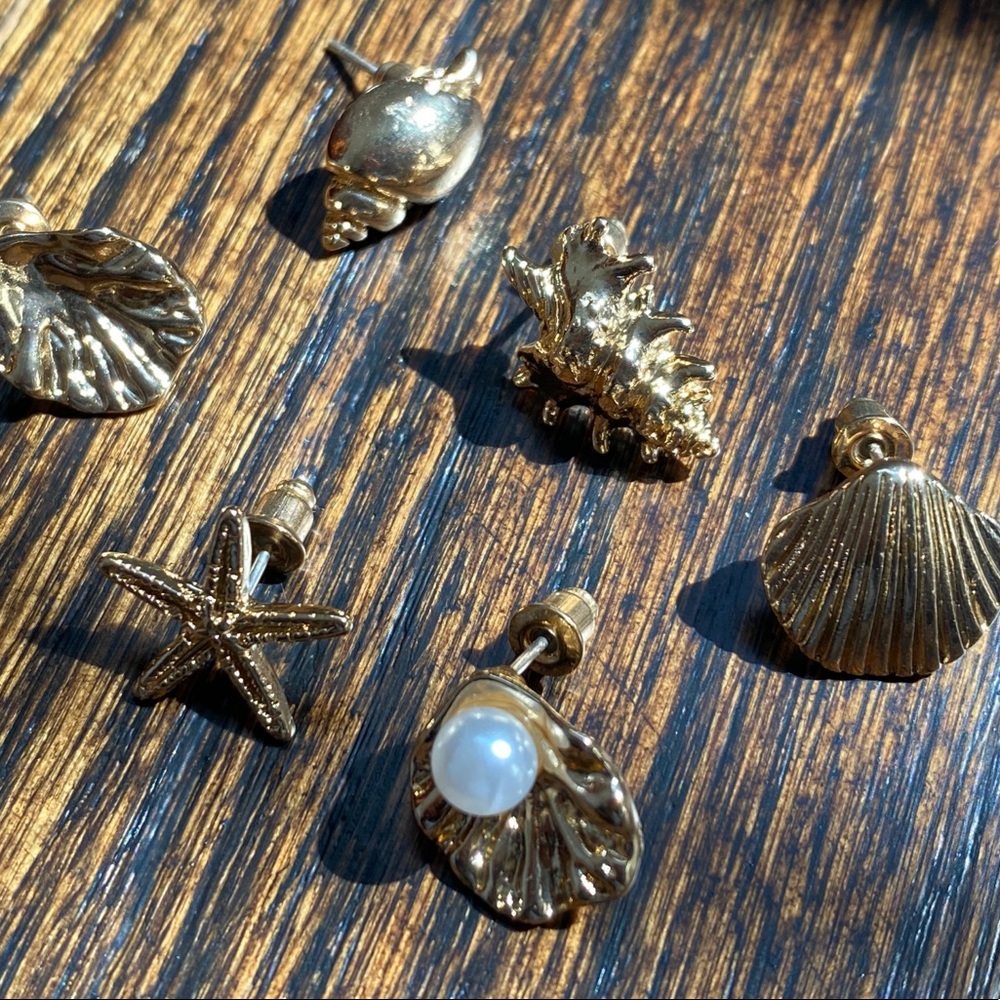 Beach vibe seashell earrings set of 6